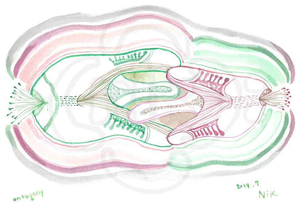 ontogeny by NIKSTYLE STUDIO*tamnik