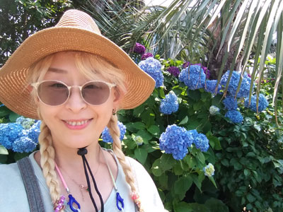 Hydrangeas in Jeju Island.제주도 수국. 수국과 함께