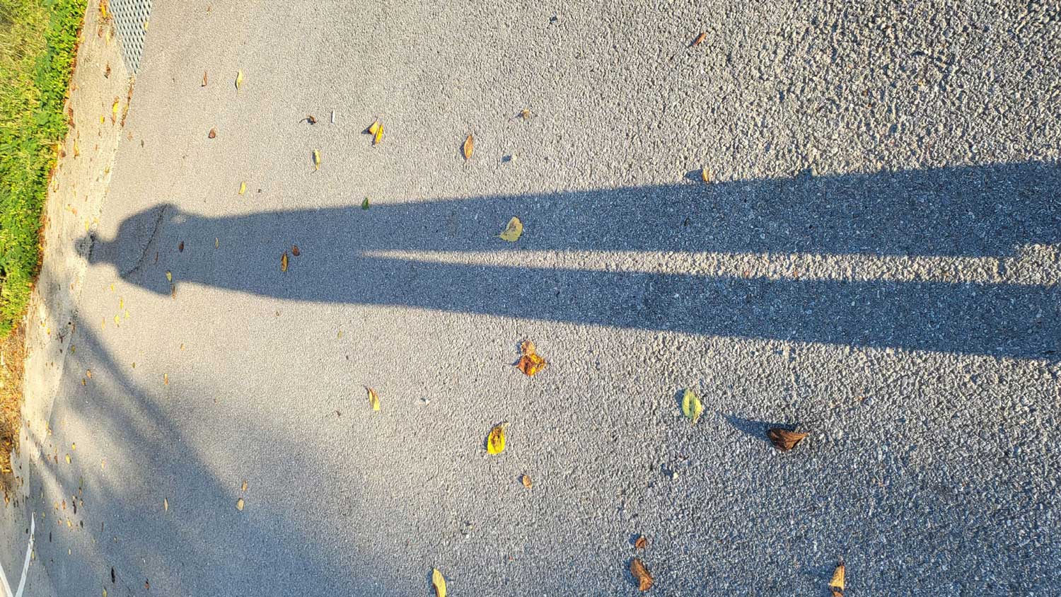 Clear Fall Day ME by NIKSTYLE STUDIO*tamnik