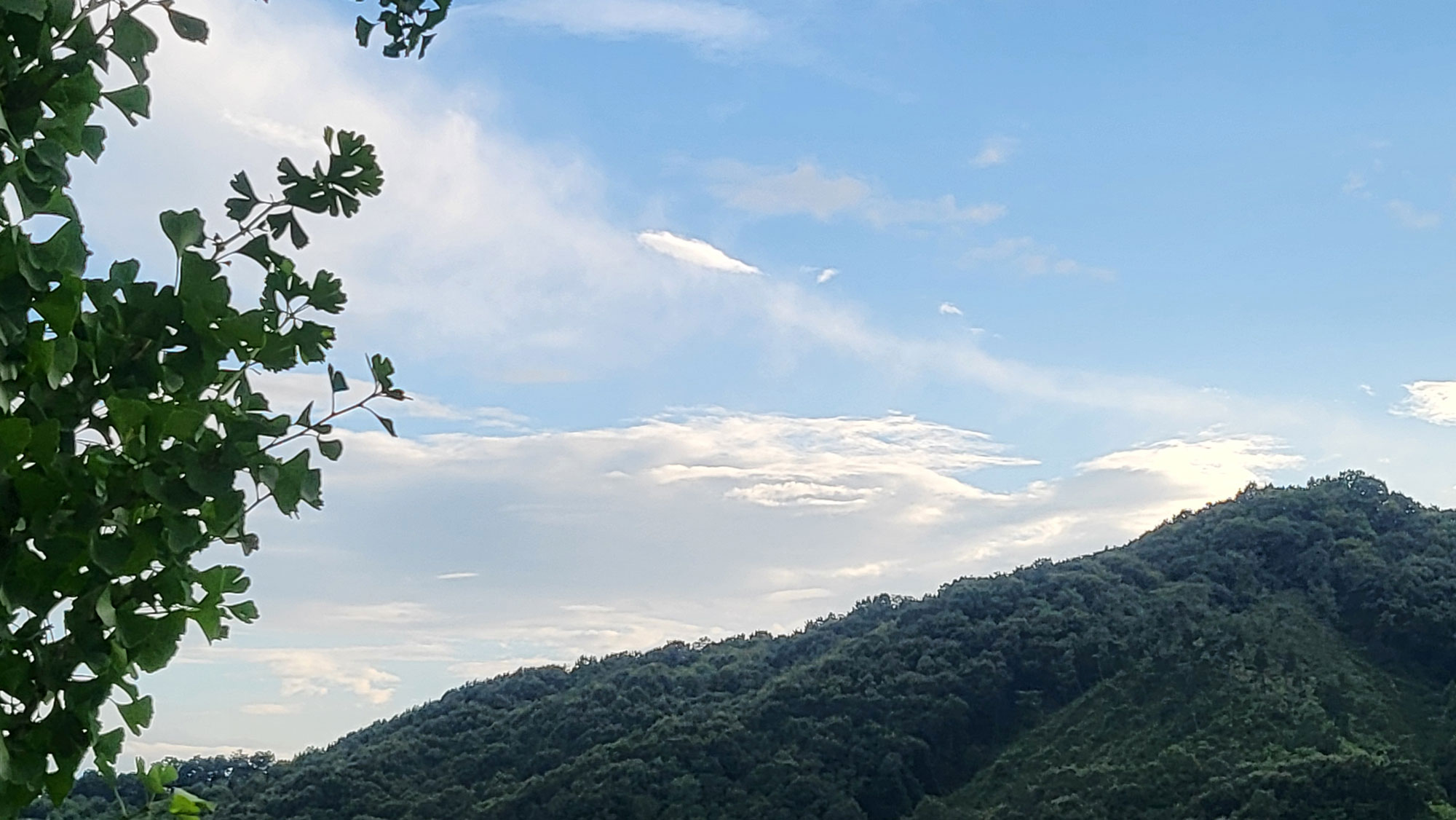 summer sky
