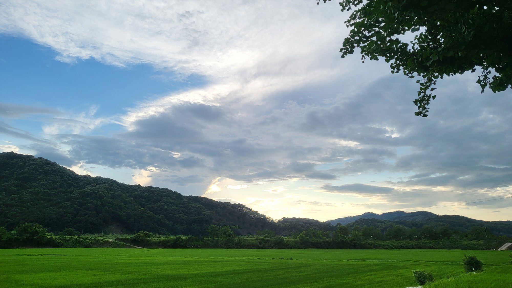 summer sky