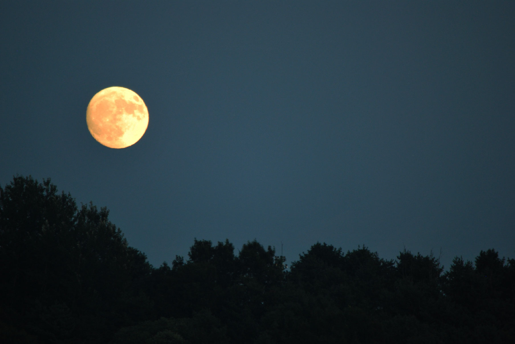 fullmoon by NIKSTYLE STUDIO*tamnik