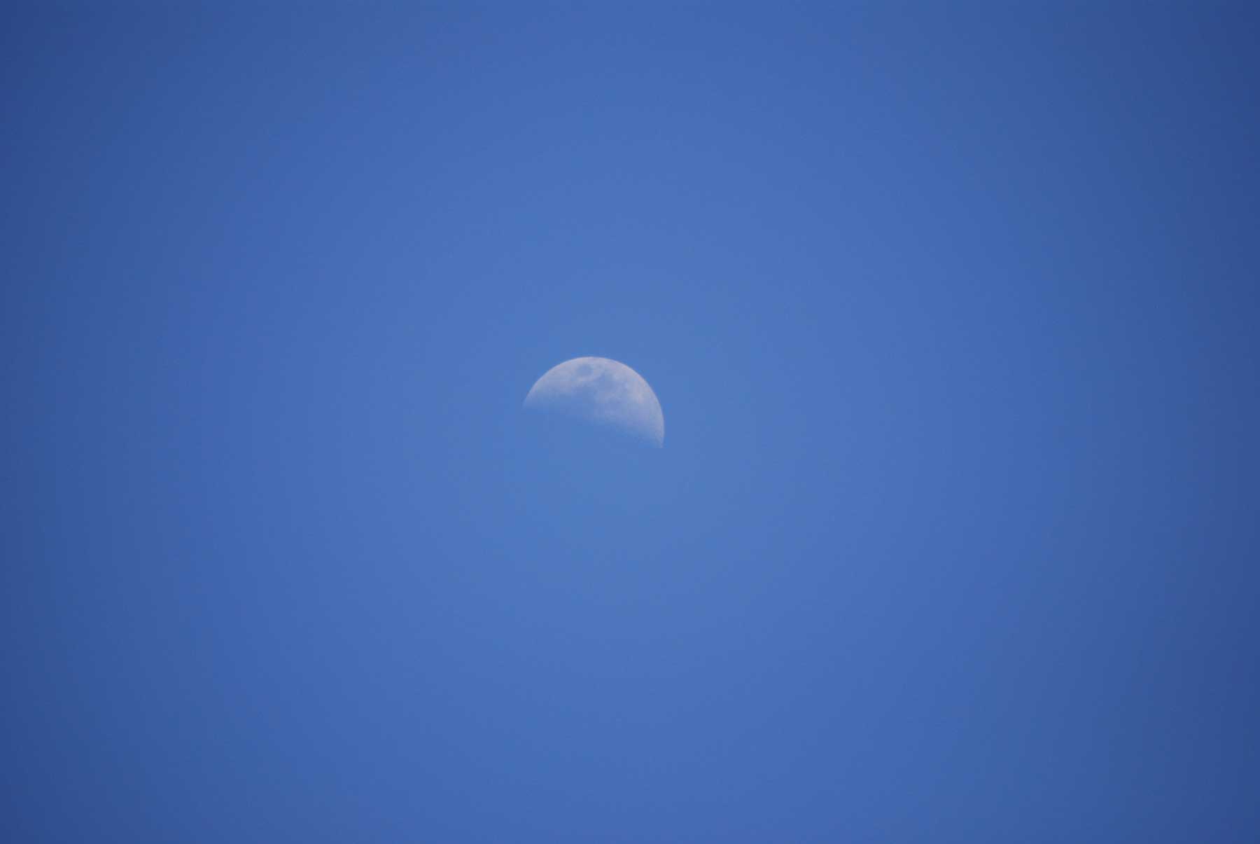 2025_early-in-May