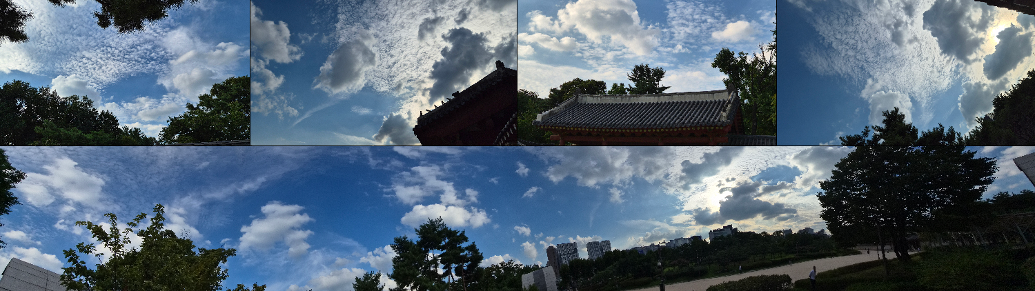 DDP Exhibition – Media Art Fall 2025.
높아진 하늘. 가을이 또 왔다. 종묘공원. The sky is high. Autumn has come again. Jongmyo Park.
