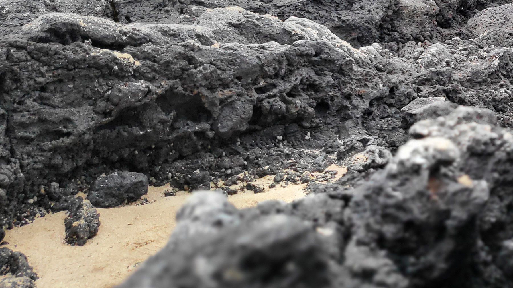 자연물을 관찰하다 - 제주도 용암석
가까이 보니 재밌다. 현무암은 제주도 지질의 대부분(90% 이상)을 차지하는 핵심적인 암석.제주섬의 독특한 문화와 경관을 형성하는 핵심적인 역할.화산암은 마그마가 지표 근처에서 빠르게 식으면서 굳어져 만들어진 분출암으로 용암이 분출할 때 포함되어 있던 가스가 빠져나가면서 크고 작은 구멍(기공)이 송송 뚫려있는 것이 특징다. 이 기공 때문에 밀도가 낮고 물 빠짐이 좋아서 제주도 물이 유명하다.Observing Natural Objects - Jeju Island Lava Rock