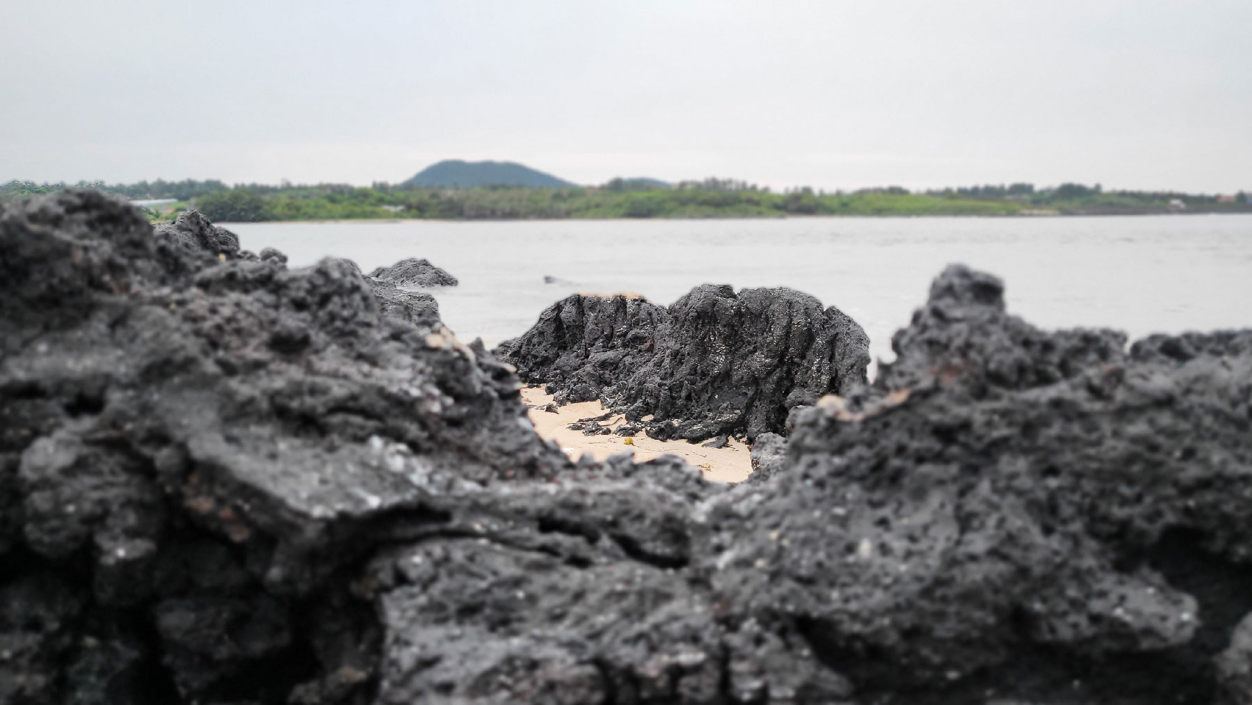 자연물을 관찰하다 - 제주도 용암석
가까이 보니 재밌다. 현무암은 제주도 지질의 대부분(90% 이상)을 차지하는 핵심적인 암석.제주섬의 독특한 문화와 경관을 형성하는 핵심적인 역할.화산암은 마그마가 지표 근처에서 빠르게 식으면서 굳어져 만들어진 분출암으로 용암이 분출할 때 포함되어 있던 가스가 빠져나가면서 크고 작은 구멍(기공)이 송송 뚫려있는 것이 특징다. 이 기공 때문에 밀도가 낮고 물 빠짐이 좋아서 제주도 물이 유명하다.Observing Natural Objects - Jeju Island Lava Rock