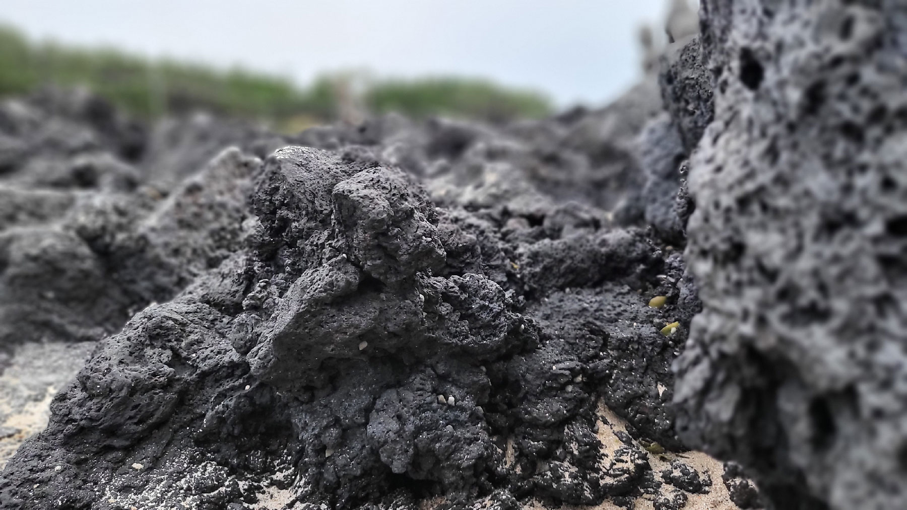 자연물을 관찰하다 - 제주도 용암석
접사 촬영을 하니 그들만의 세상이 보인다. 가파른 계곡과 구불구불 협곡들. 울퉁불퉁 거치른 표면속 작은 구멍. 소라들의 쉼터.
Close-up photography reveals their own world. Steep valleys and winding gorges. Small holes in the rugged surface. A shelter for snails.Observing Natural Objects - Jeju Island Lava Rock