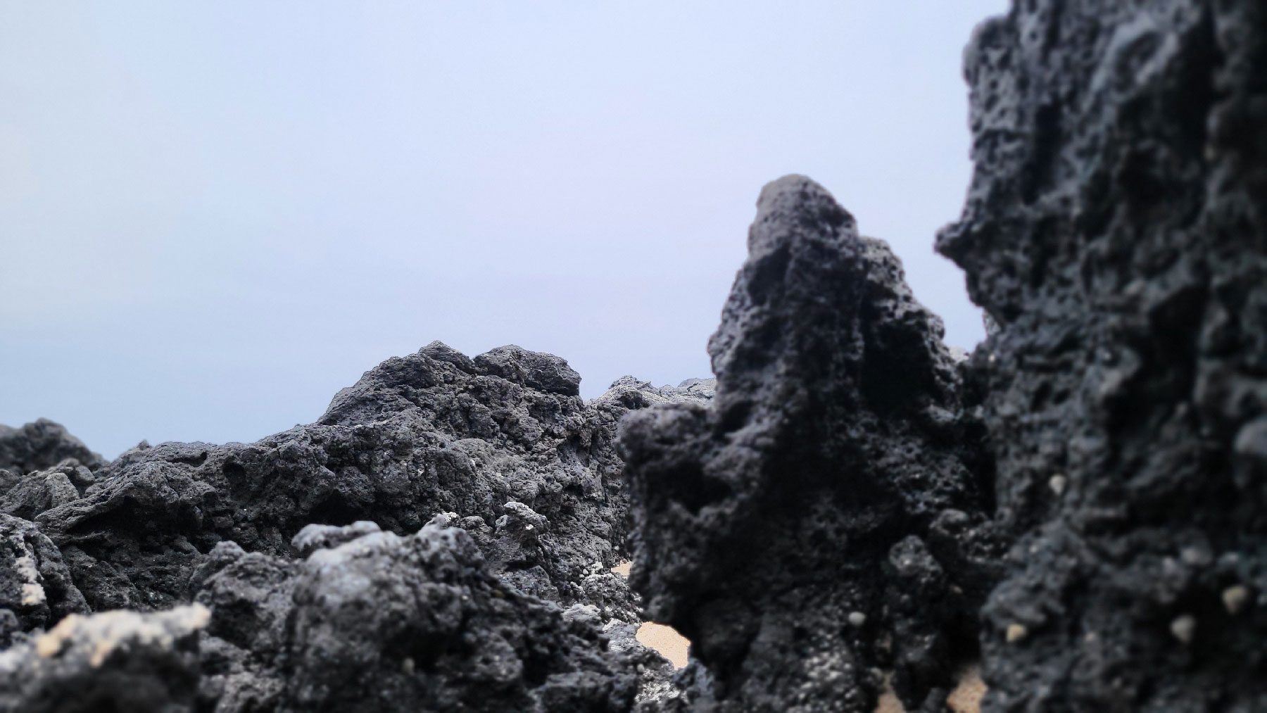 자연물을 관찰하다 - 제주도 용암석
가까이 보니 재밌다. 저들의 세상. 마치 낯선 행성의 모습. Their world. Like an alien planet.Observing Natural Objects - Jeju Island Lava Rock