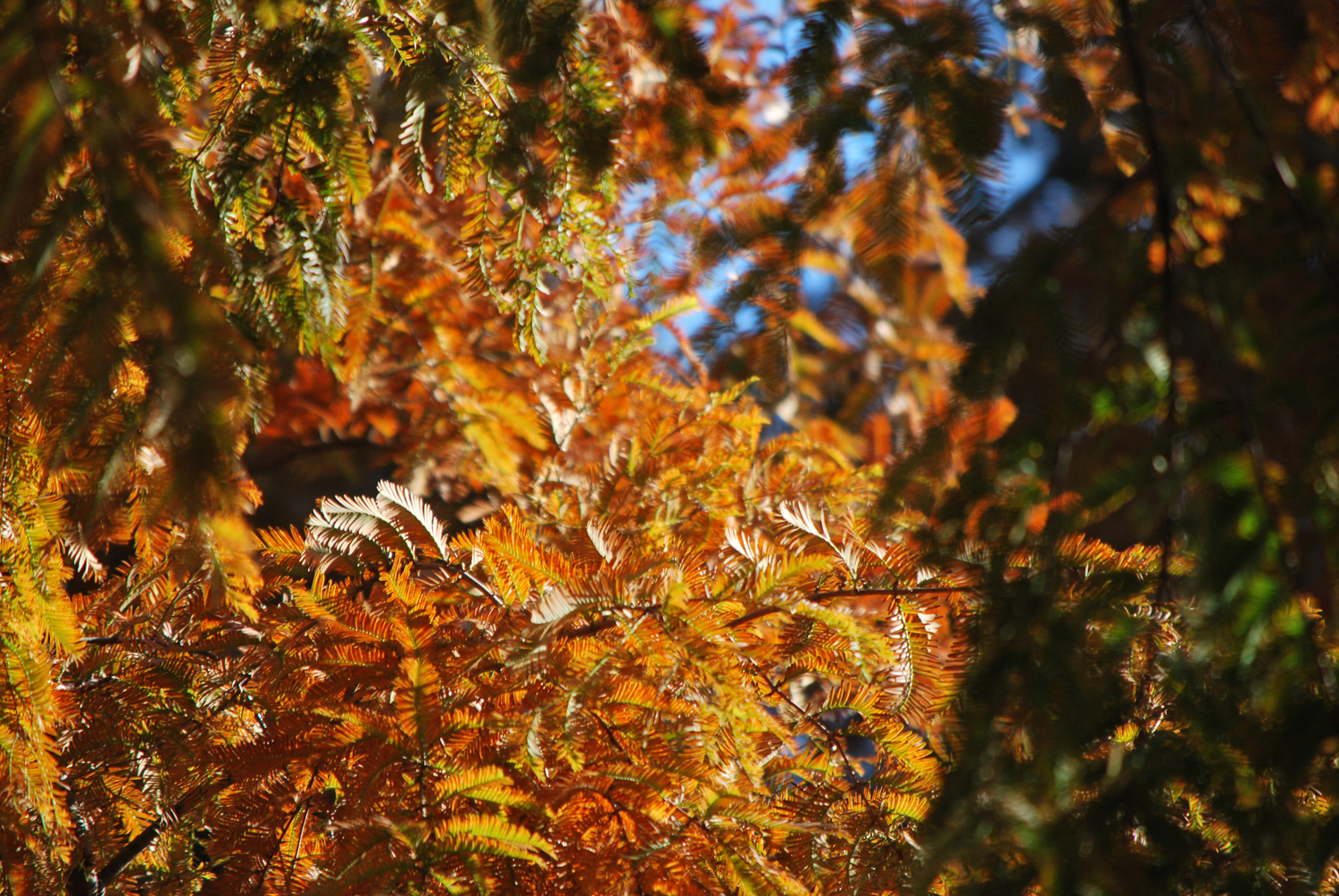 톤다운 컬러.
Toned-down colors. 우아한 주황색. 이제 안녕. Elegant orange. Goodbye for now.