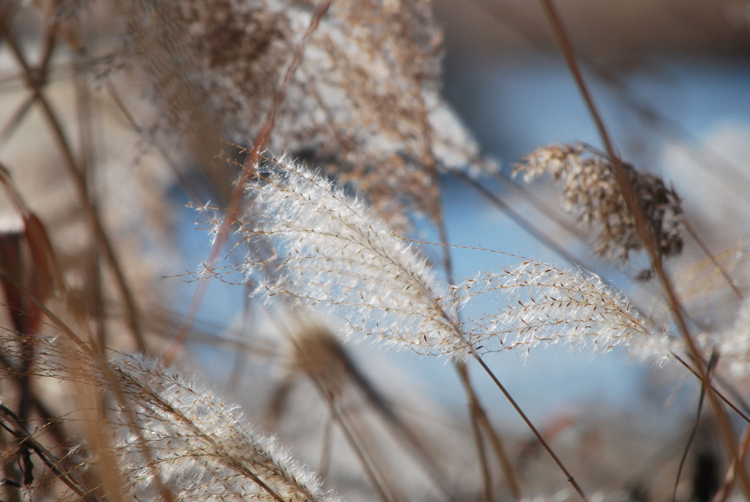 점점 시간이 잘간다. 1년이 참 짧다. 흐르는 물처럼 흘러가. 어디로 가는지 아무도 모르지만. Time flies. A year truly does fly by. It flows like flowing water, though no one knows where it's going.