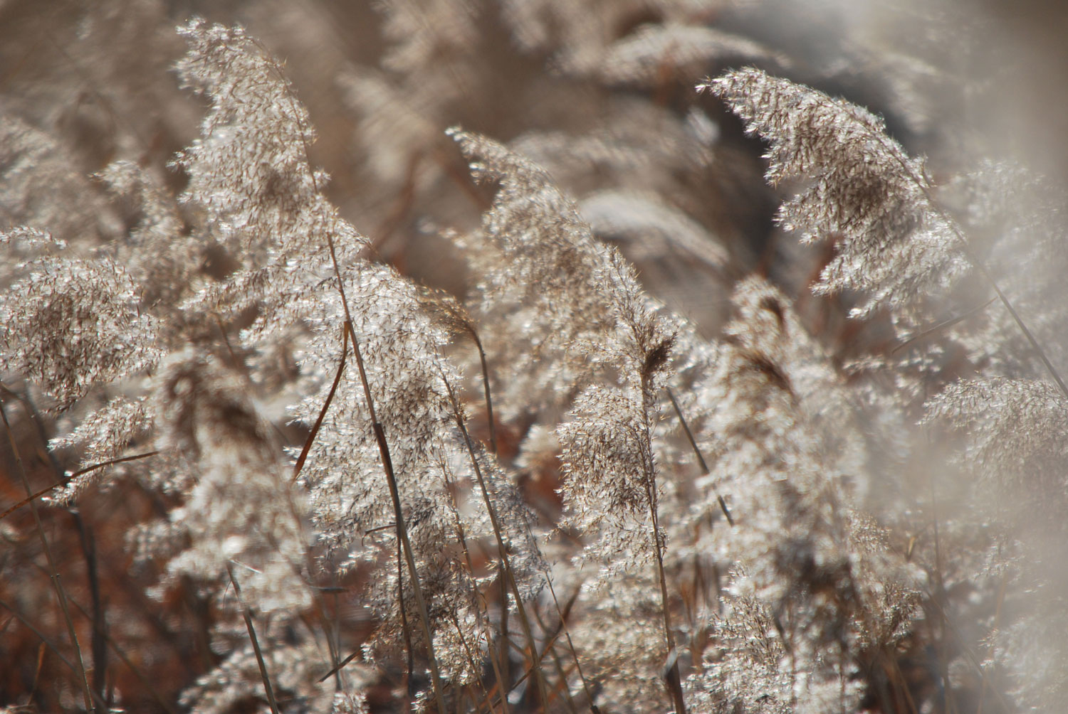 점점 시간이 잘간다. 1년이 참 짧다. 흐르는 물처럼 흘러가. 어디로 가는지 아무도 모르지만. Time flies. A year truly does fly by. It flows like flowing water, though no one knows where it's going.