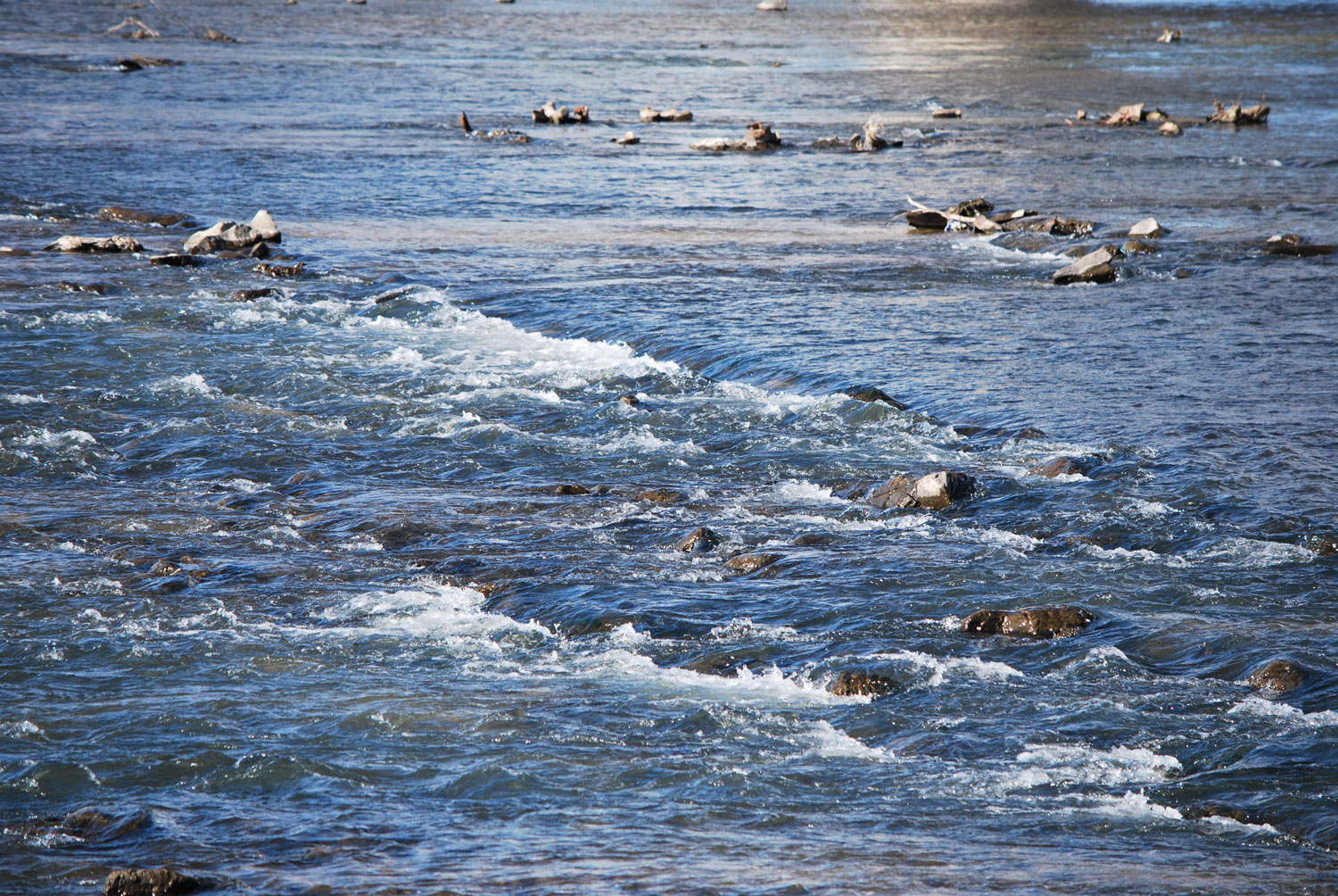 제법 물살이 세다. 날이 차고 바람도 분다.
The current is quite strong. The weather is cold and the wind is blowing.