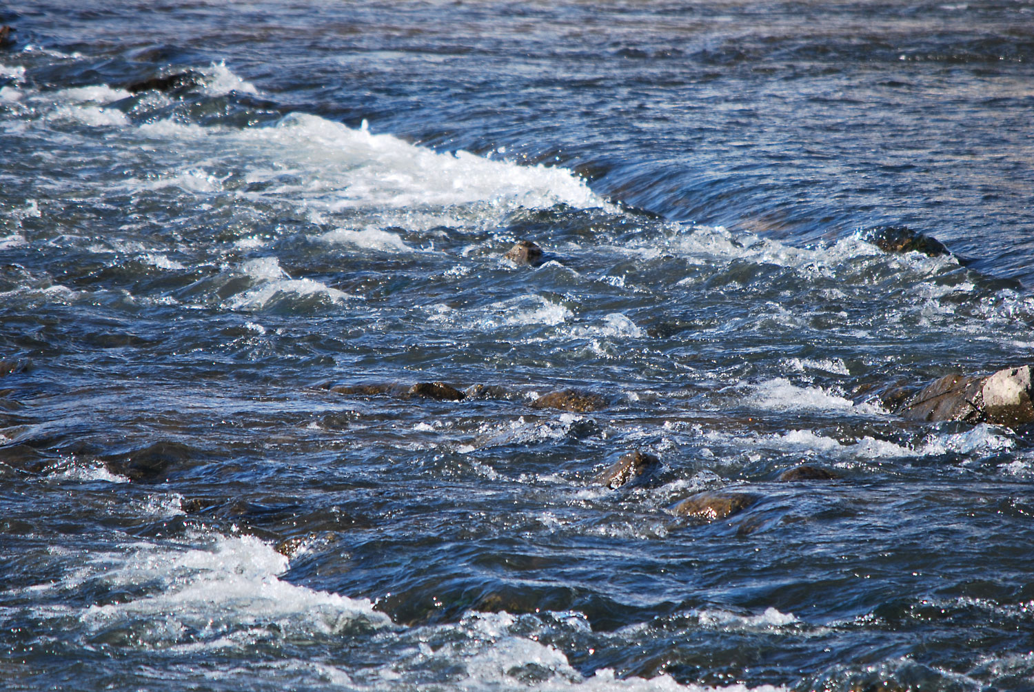제법 물살이 세다. 날이 차고 바람도 분다.
The current is quite strong. The weather is cold and the wind is blowing.