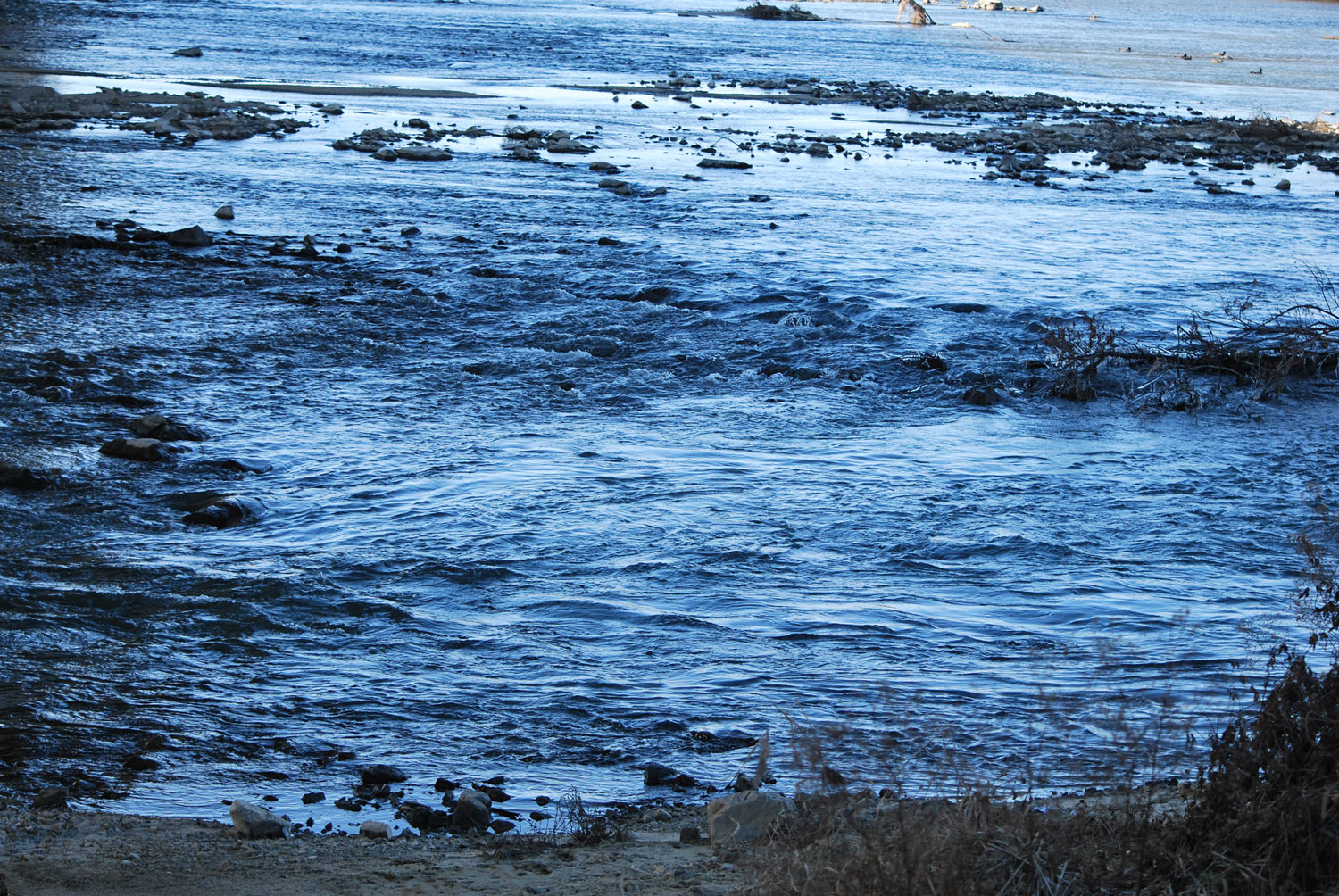 파란 하늘과 노란 잎새. Blue sky and yellow leaves.