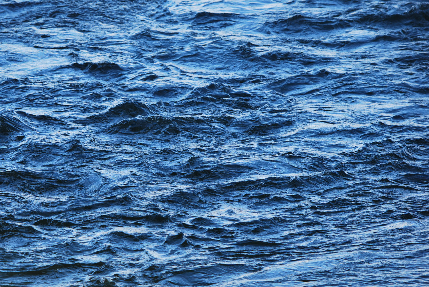 파란 하늘과 노란 잎새. Blue sky and yellow leaves.