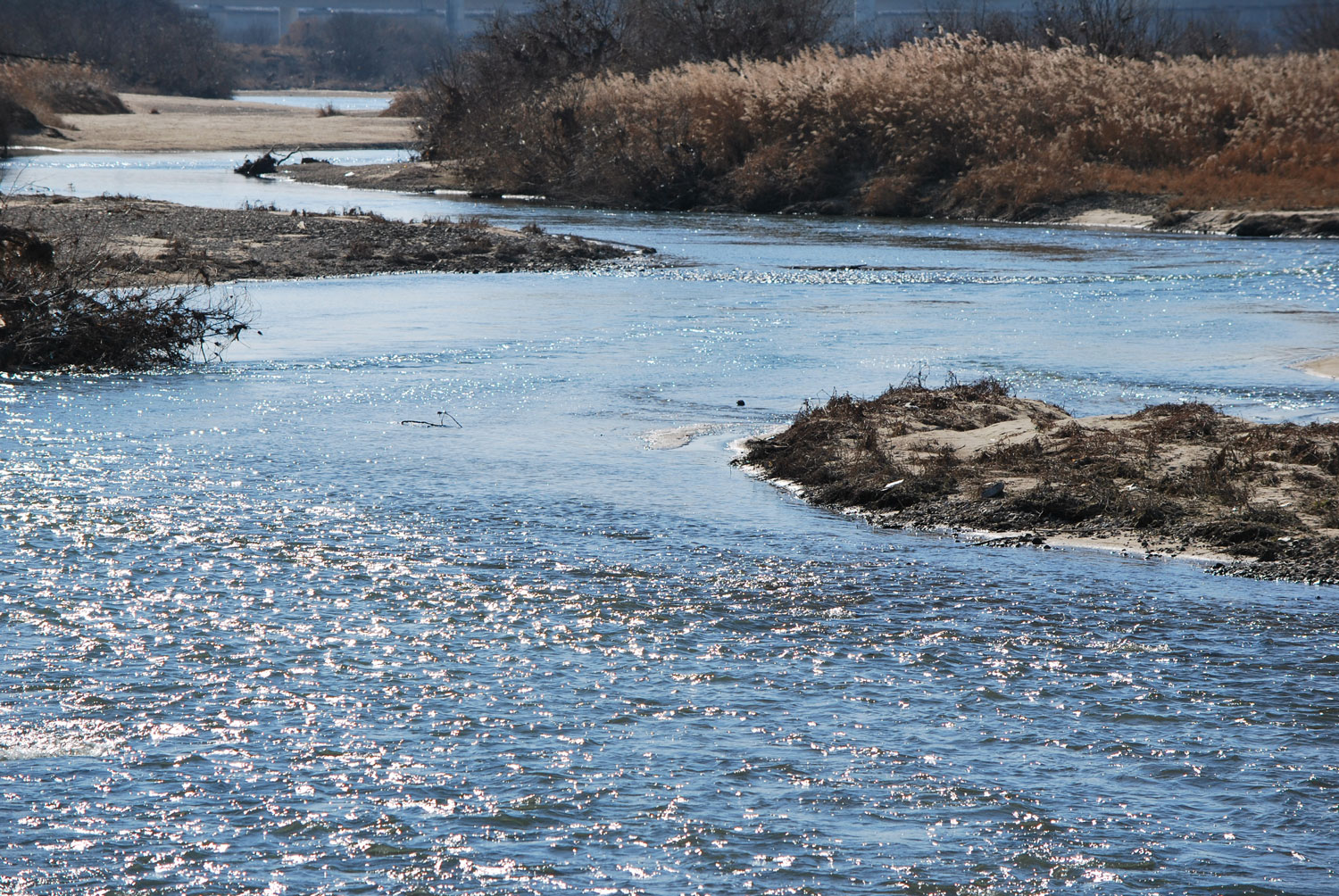 아름다운 한국의 개울
A beautiful Korean stream.