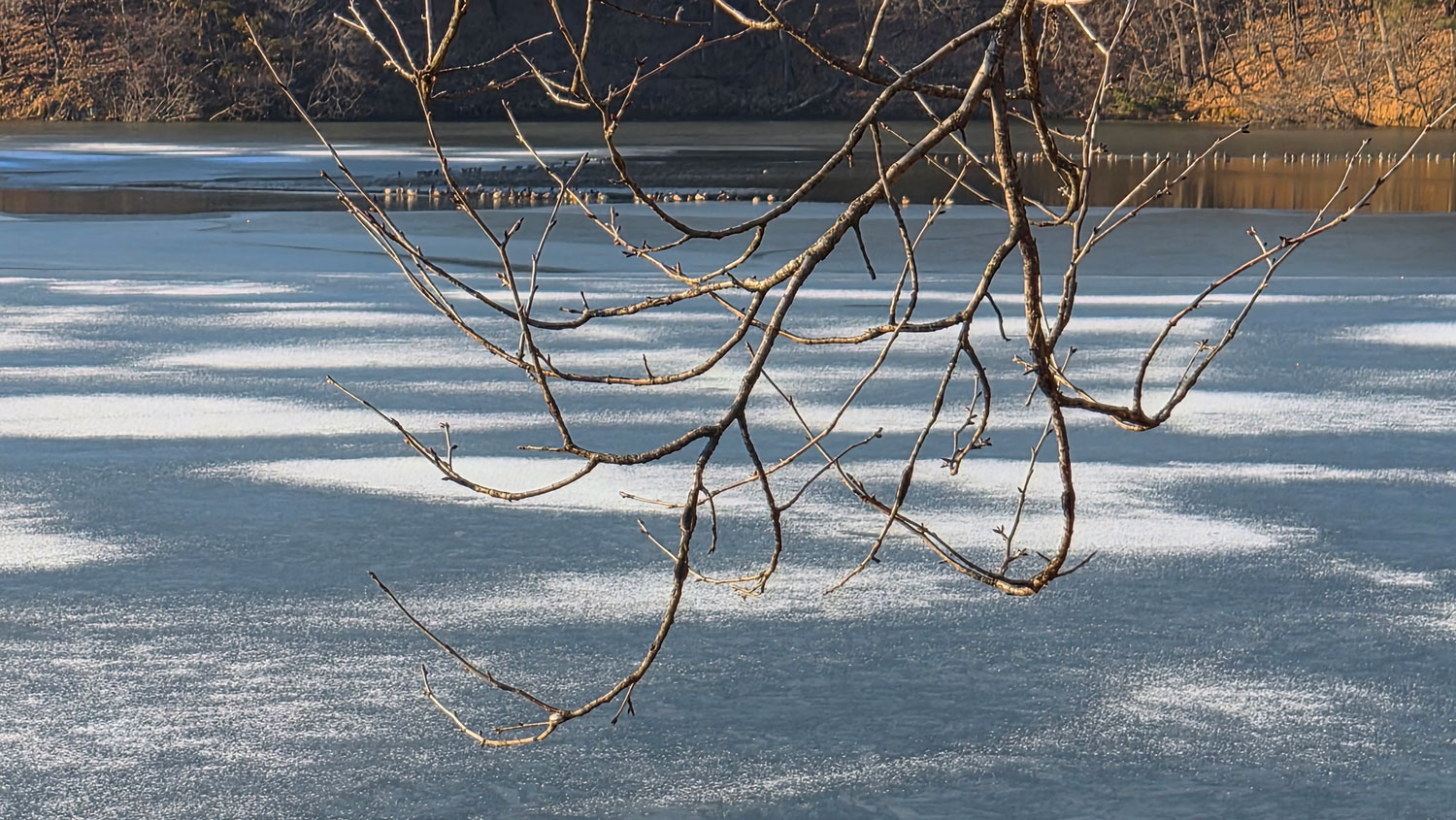 새로운 봄이 오길 기다린다.
Waiting for the new spring to come.