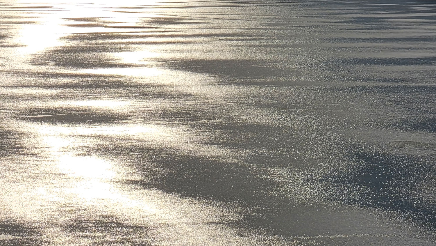 새로운 봄이 오길 기다린다.
Waiting for the new spring to come.