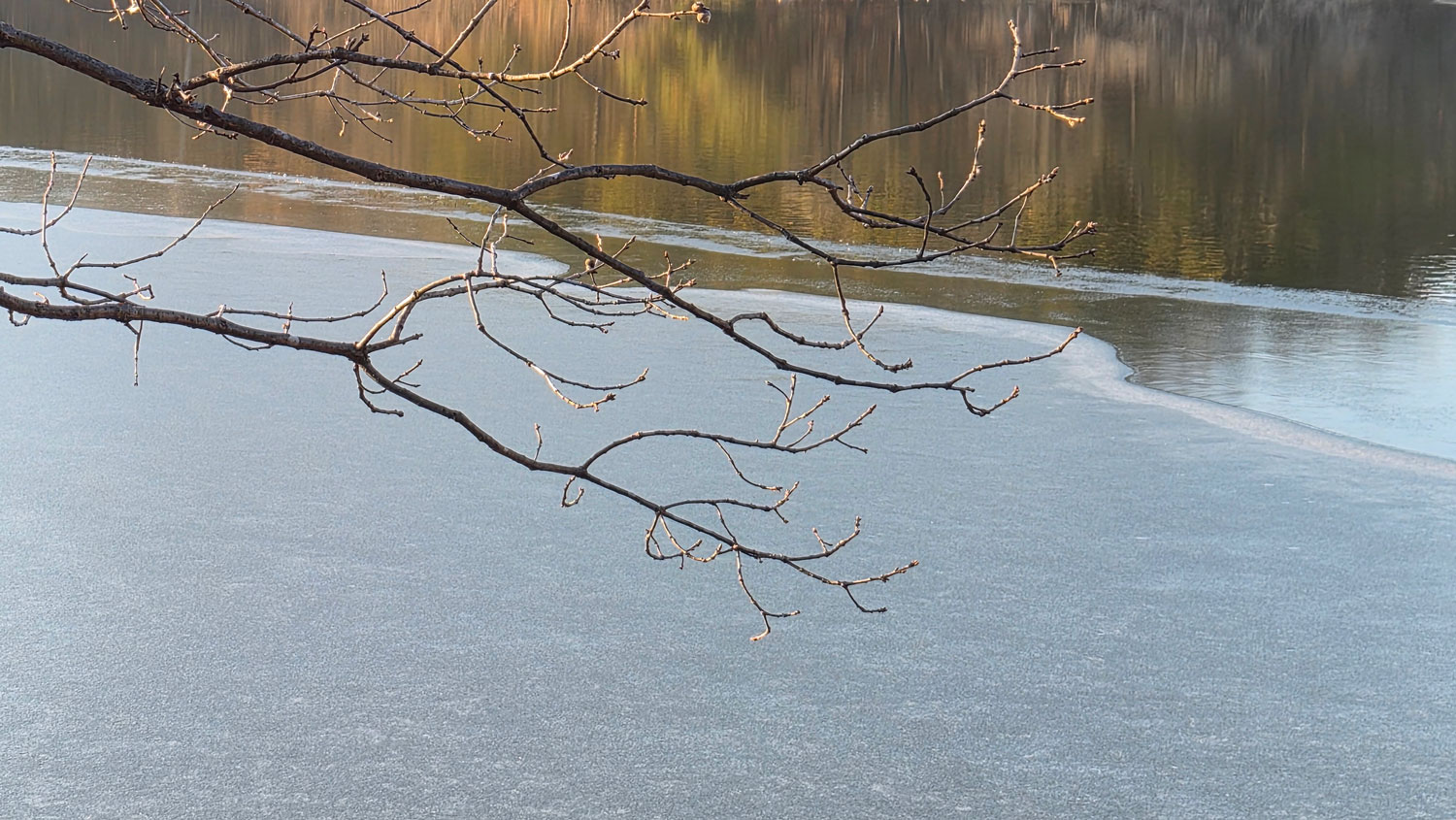 고즈넉한 분위기. 평화롭다.
A quiet atmosphere. Peaceful.