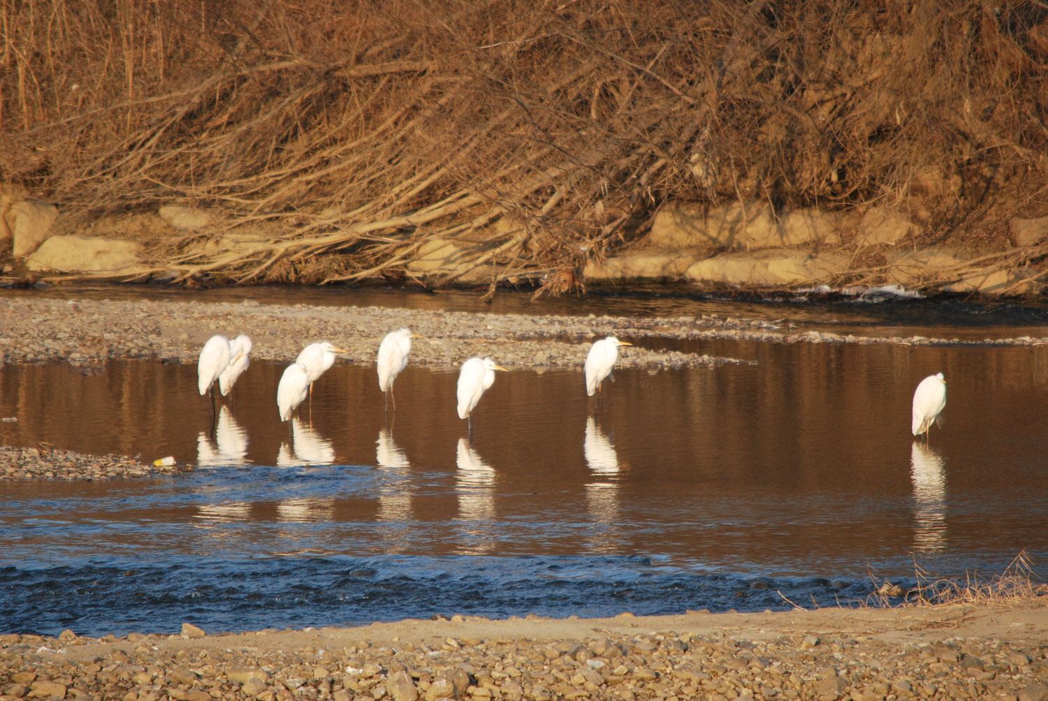다리 하나 내놓고 자는 것인가?
Are you sleeping with one leg out?