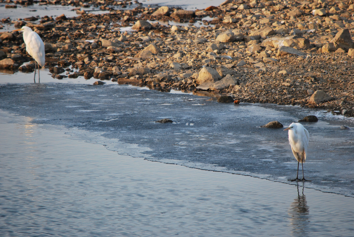 무슨 생각을 하고 있을까?
What are you thinking?