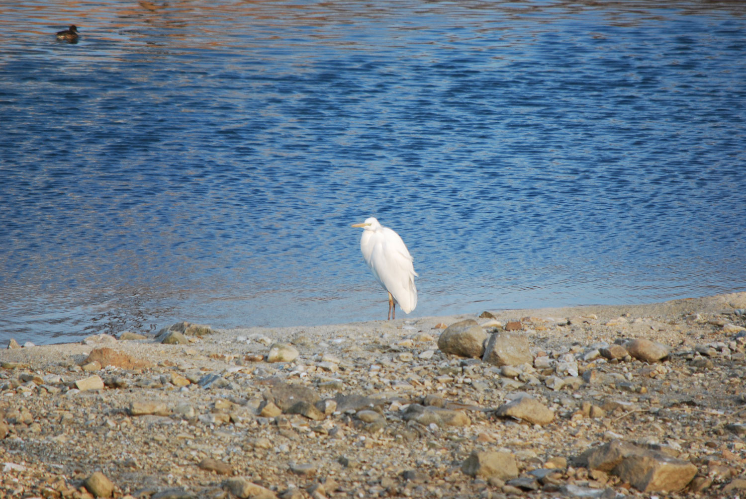 무슨 생각을 하고 있을까?
What are you thinking?