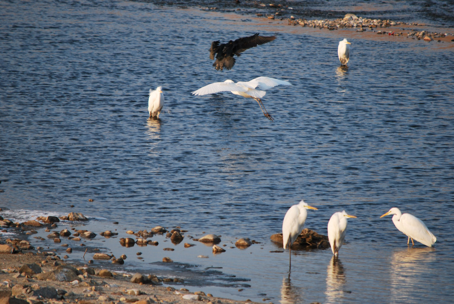 시원한 바람. 물소리. 새들의 잡담들.A cool breeze. The sound of water. The chatter of birds.