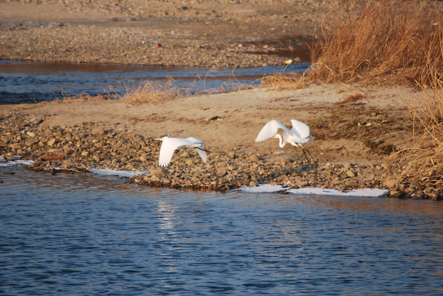 시원한 바람. 물소리. 새들의 잡담들.A cool breeze. The sound of water. The chatter of birds.