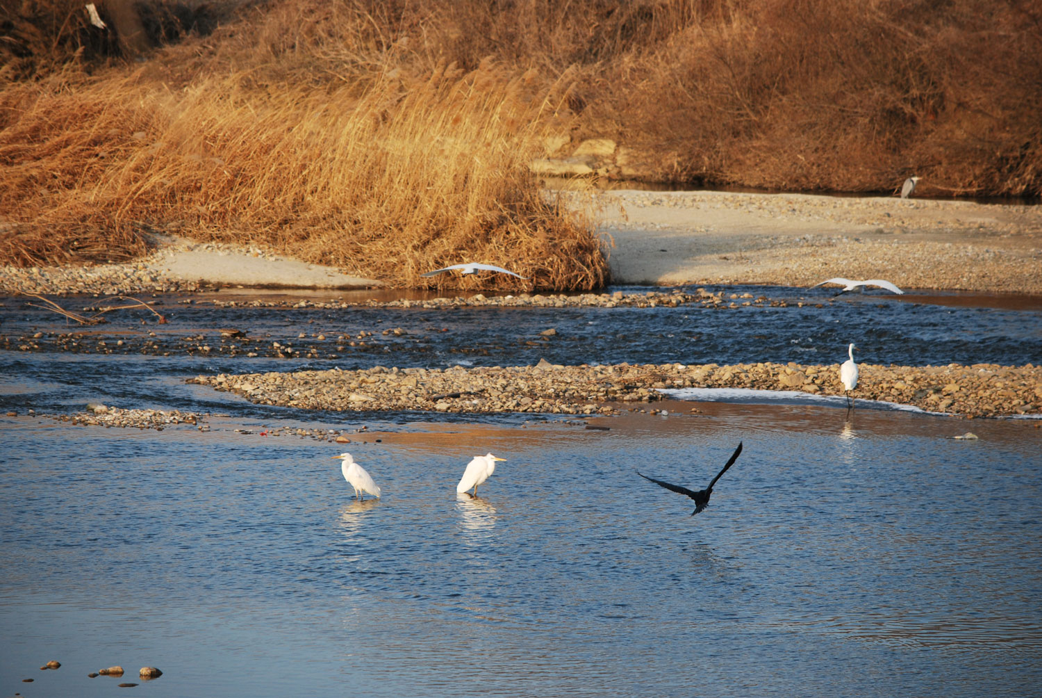 시원한 바람. 물소리. 새들의 잡담들.A cool breeze. The sound of water. The chatter of birds.