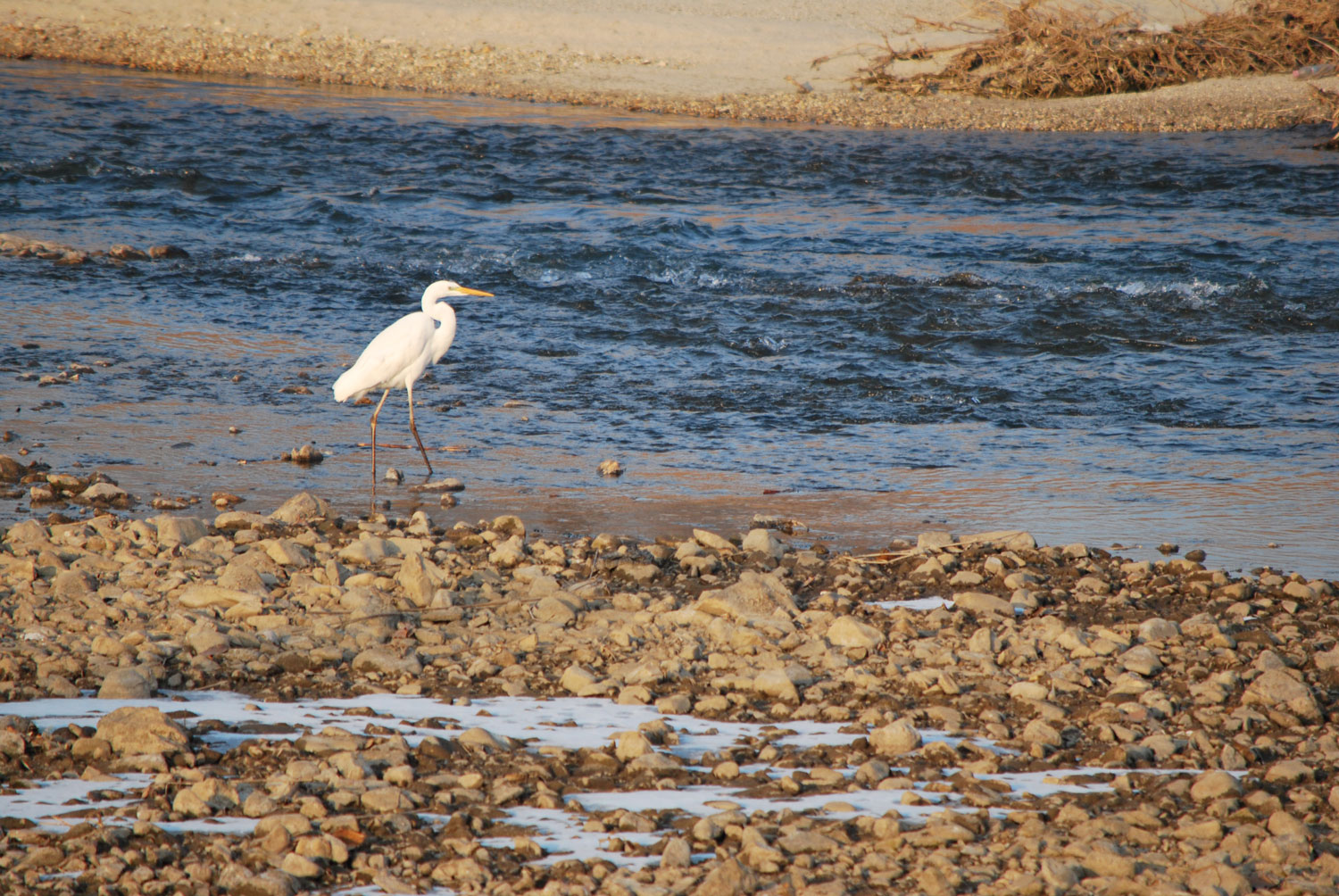 또 만나자!
See you again!